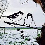 Metalbird
Mussen